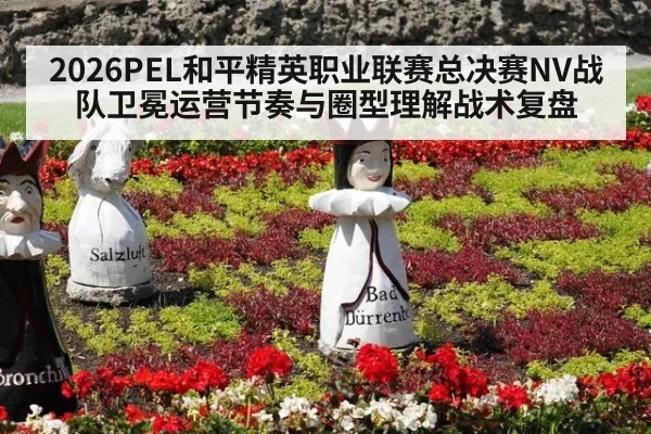 2026PEL和平精英职业联赛总决赛NV战队卫冕运营节奏与圈型理解战术复盘 - hth